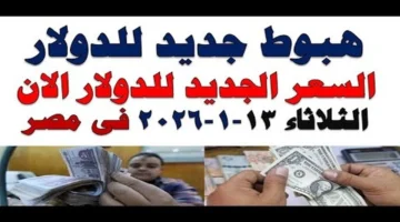 تراجع جديد.. سعر اليورو يسجل مستويات غير مسبوقة أمام الجنيه المصري خلال التعاملات